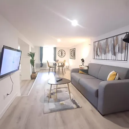 Le Loft Du Canal, 2 Lits, Baignoire Balneo, Wifi Agen